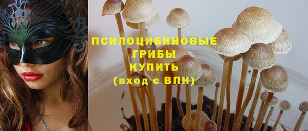 2c-b Нефтекумск